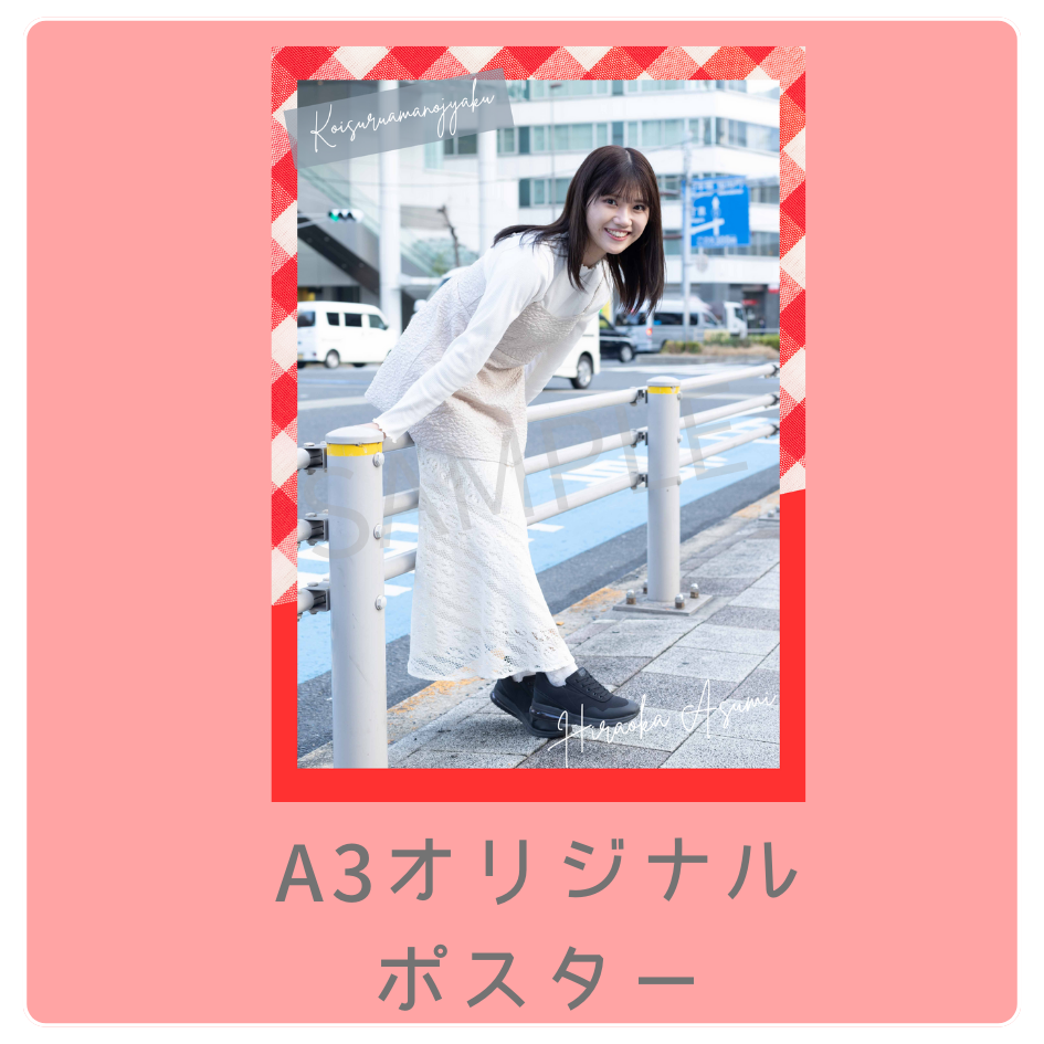 B賞 A3オリジナルポスター