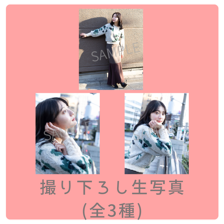 E賞 撮り下ろし生写真(全3種類)(全3種)