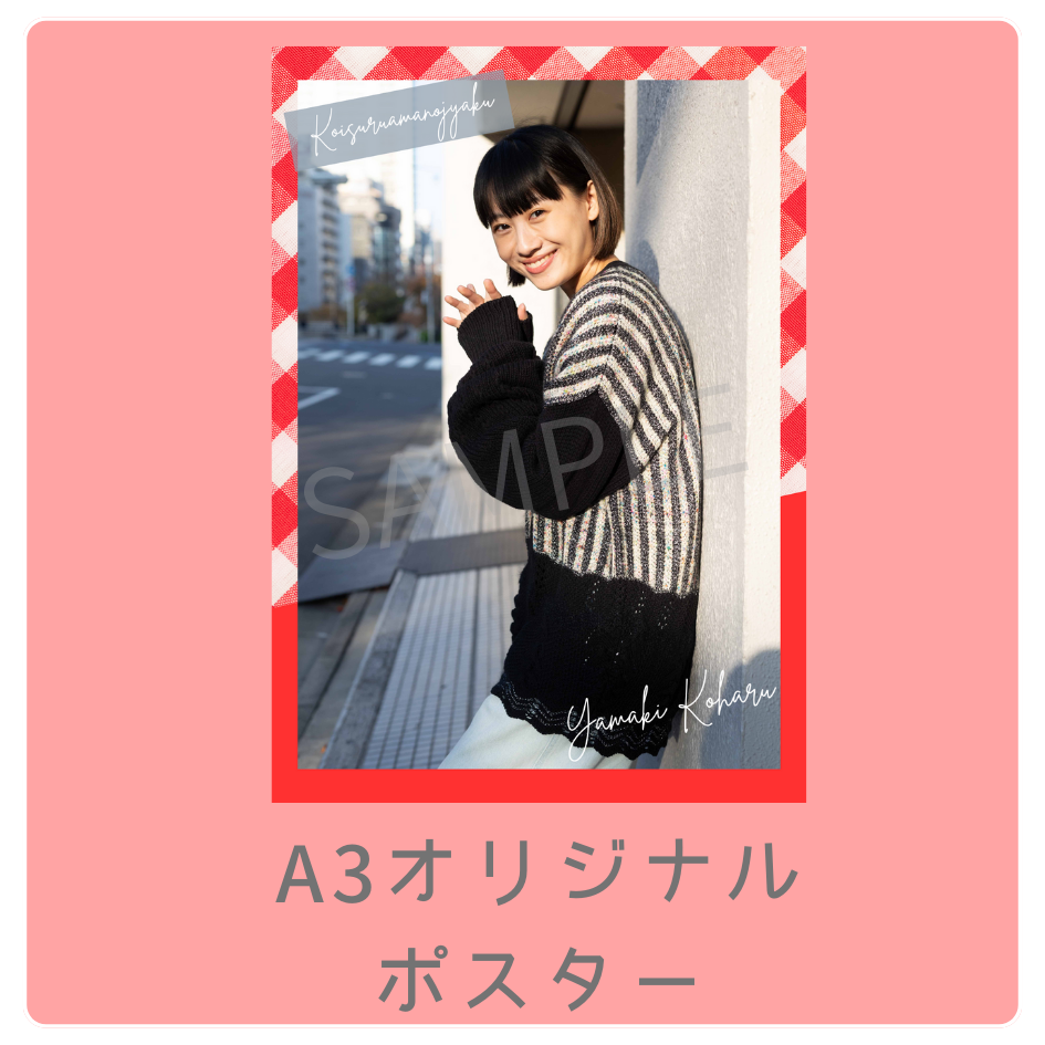 B賞 A3オリジナルポスター