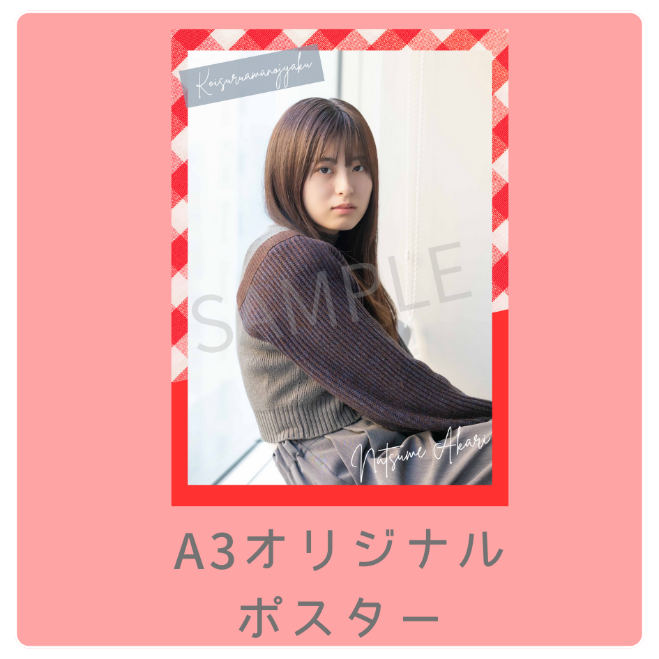 B賞 A3オリジナルポスター