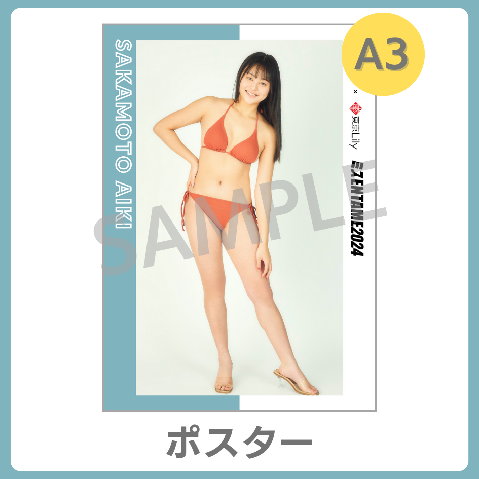 A3ポスターの画像