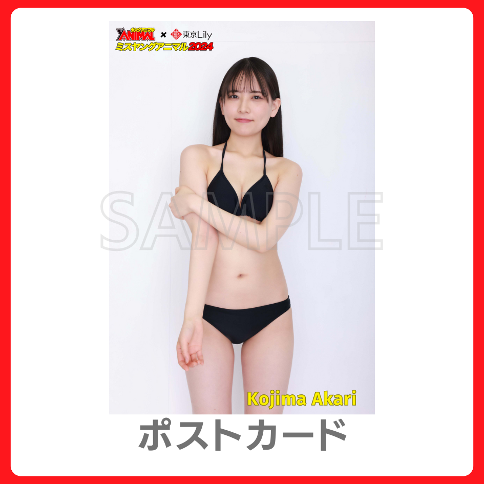 オリジナルポストカードの画像