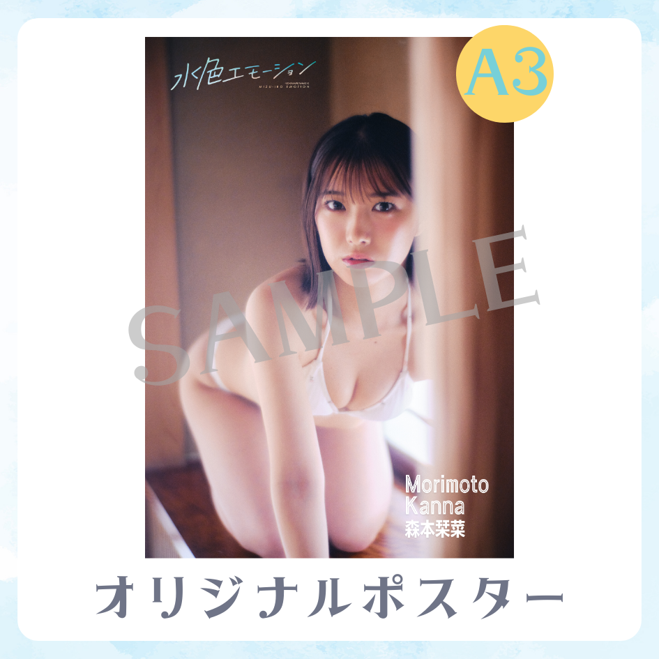 A3オリジナルポスターの画像