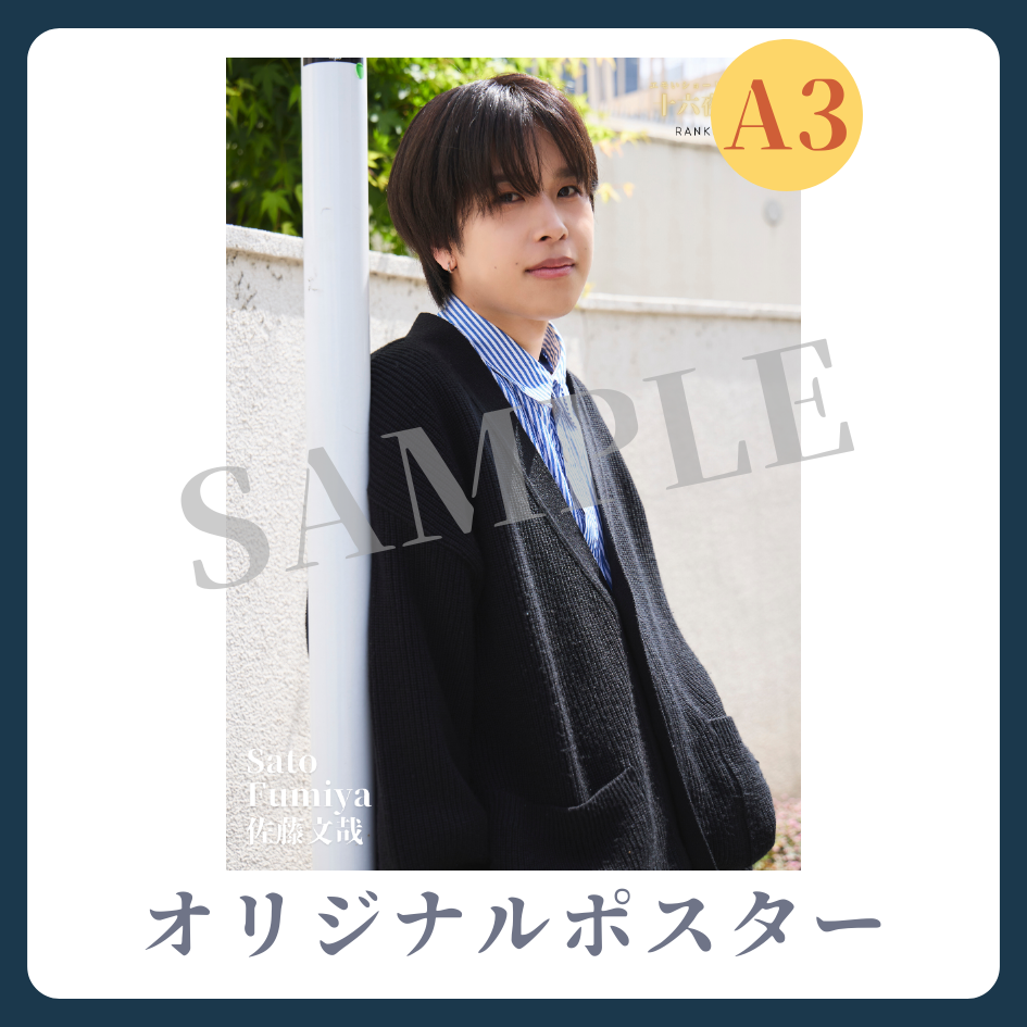 A3オリジナルポスターの画像