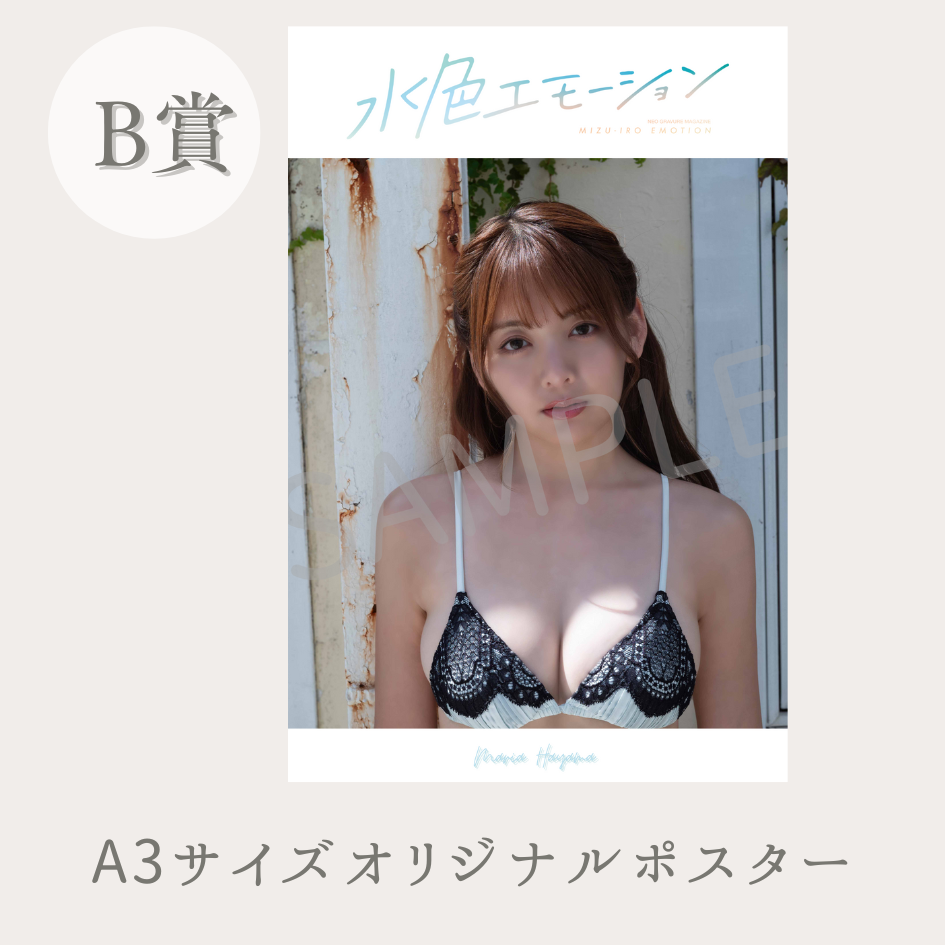 A3サイズオリジナルポスターの画像