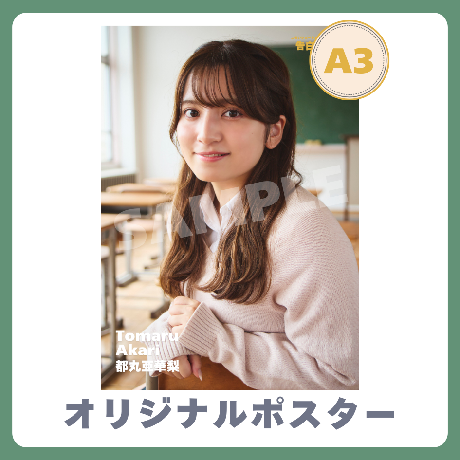 A3オリジナルポスターの画像