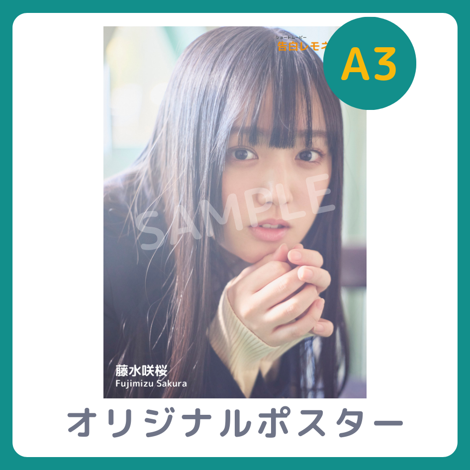 A3オリジナルポスターの画像