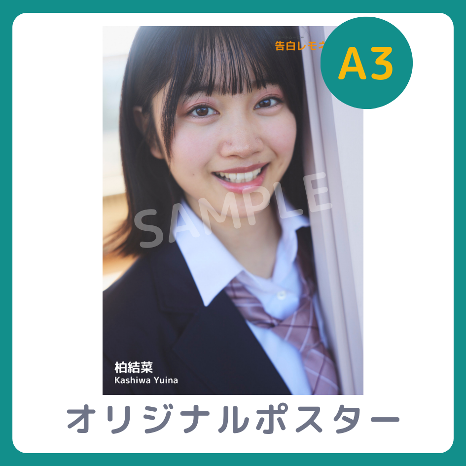 A3オリジナルポスターの画像