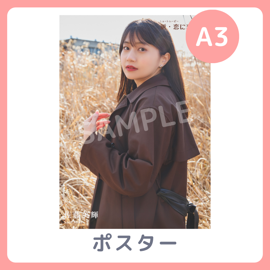 A3オリジナルポスターの画像