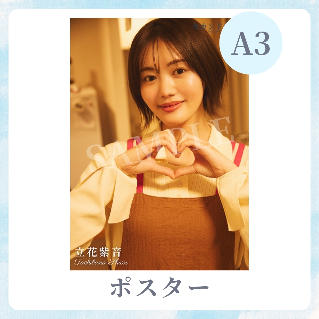 A3オリジナルポスターの画像