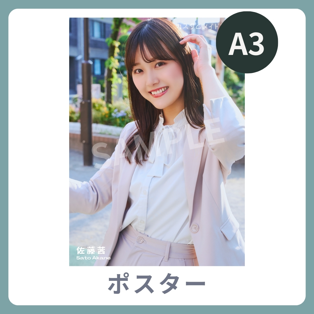 A3オリジナルポスターの画像