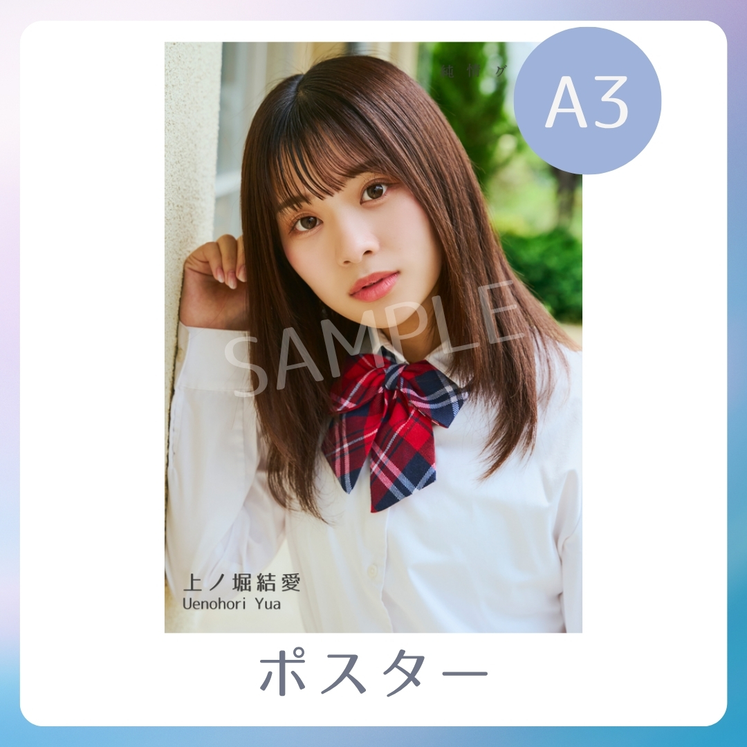 A3オリジナルポスターの画像