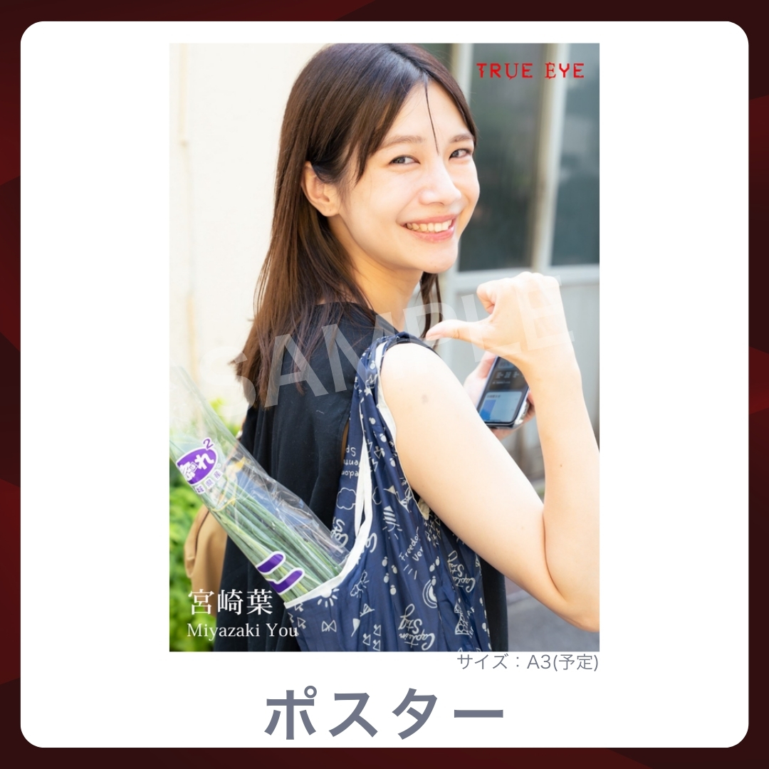 A3オリジナルポスターの画像