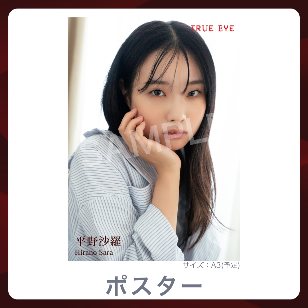 A3オリジナルポスターの画像