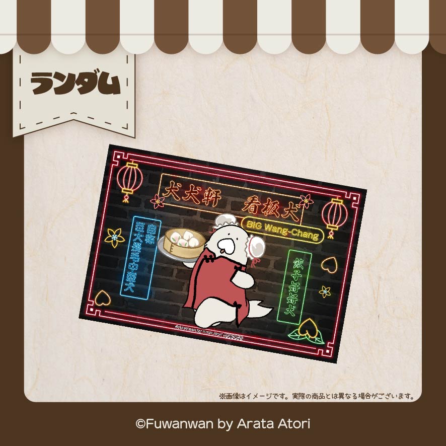 チャイナイヌの画像