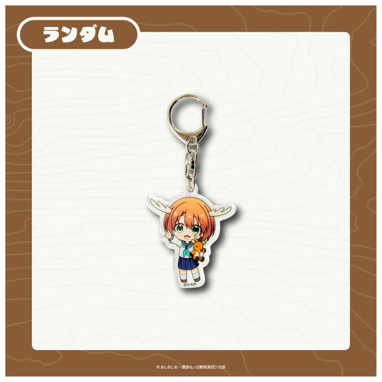 のこたんの画像