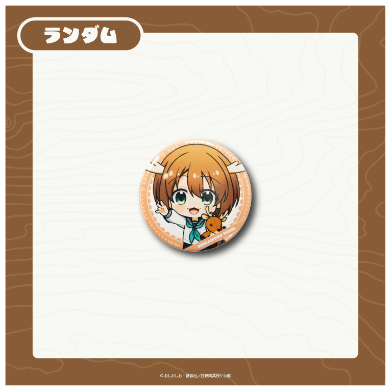 のこたんの画像