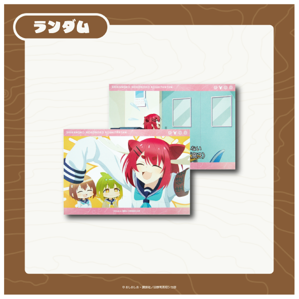 猫山田根子の画像