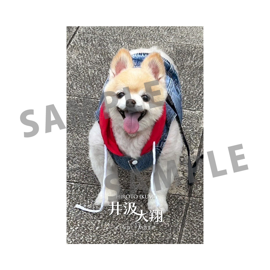 [J賞]非売品ステッカーCの画像