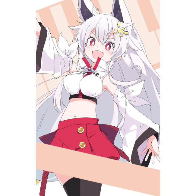 コンパクトミラー1の画像