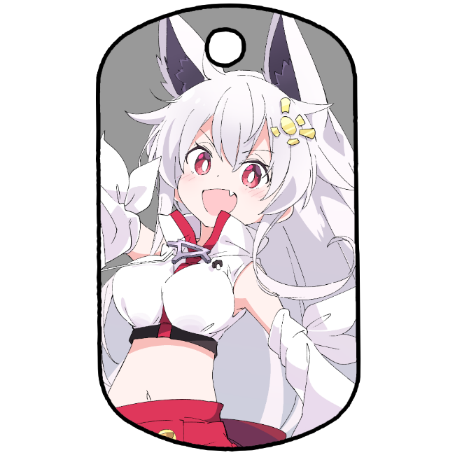 ドックタグ1の画像