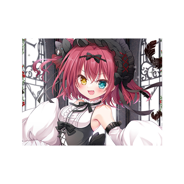 ブランケットBの画像