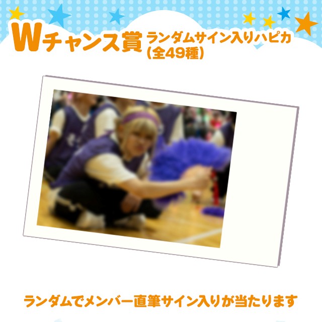 チワワ・ジャップ・Jrの画像