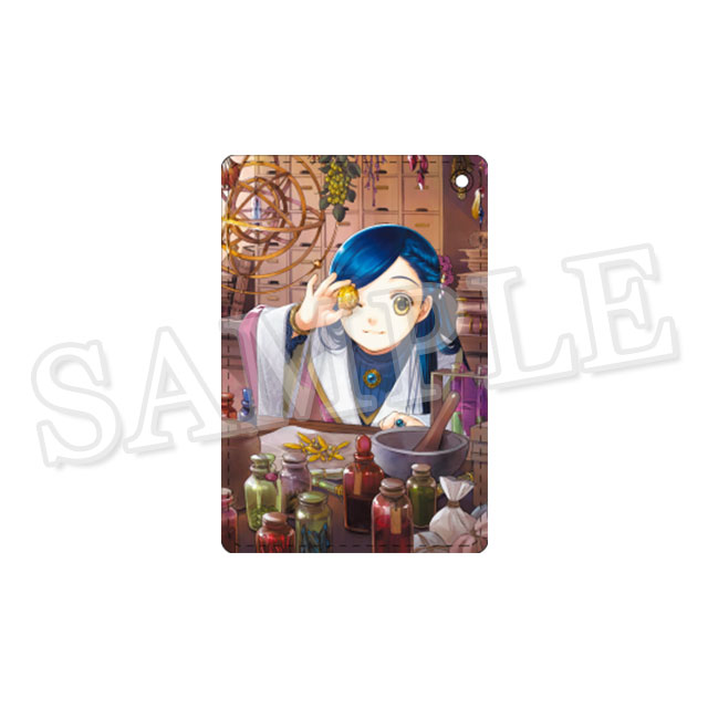 パスケース（ふぁんぶっく５／表紙）の画像