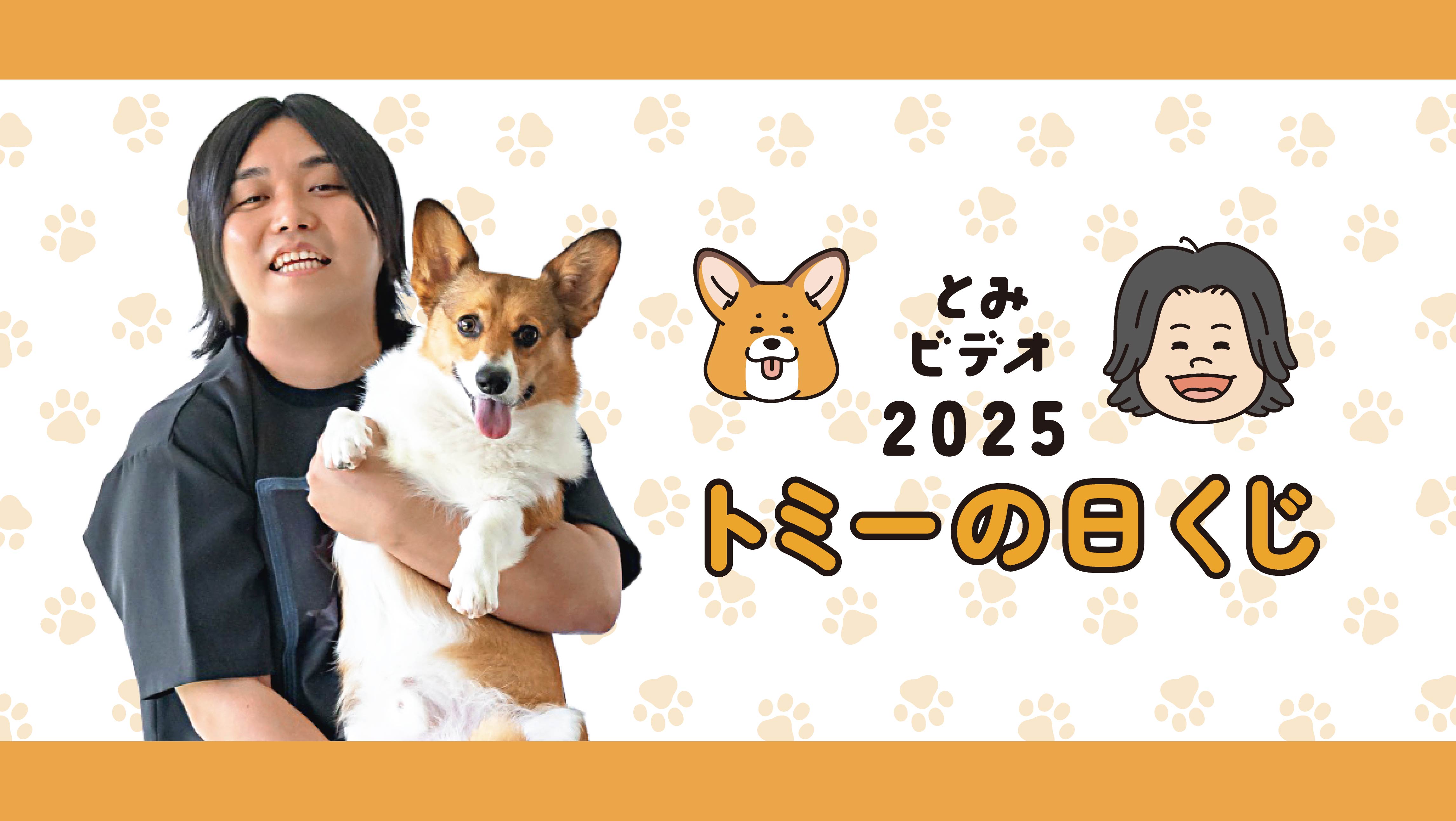 とみビデオ2025 トミーの日くじの画像