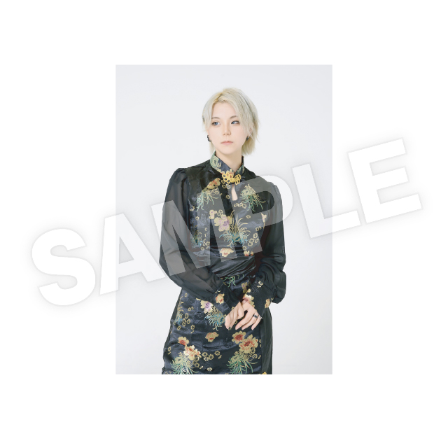 L版ブロマイド Hの画像