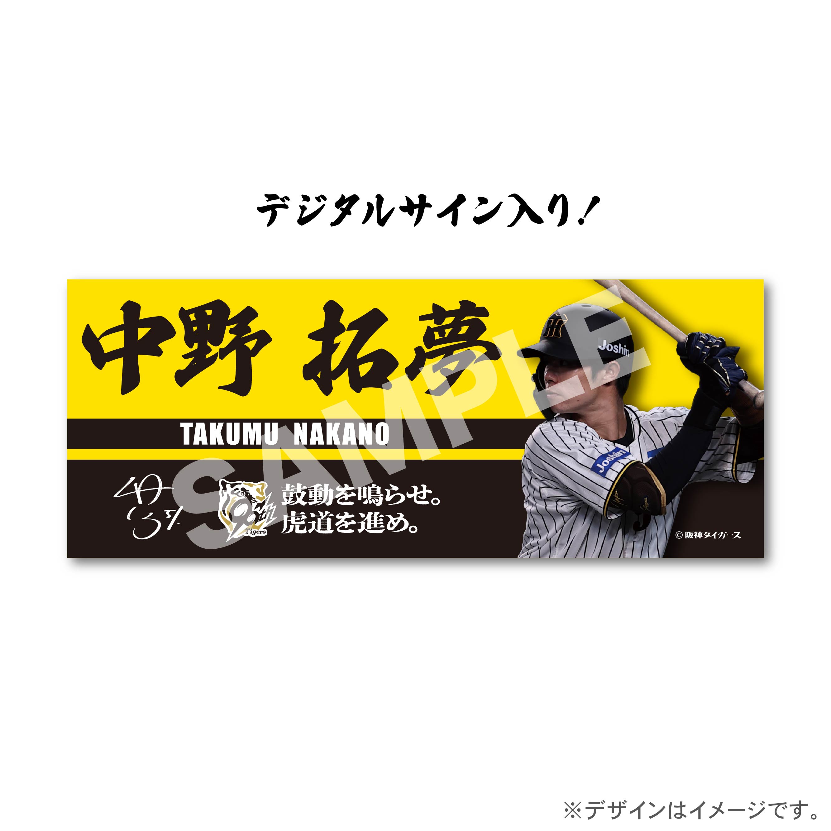 中野　拓夢の画像