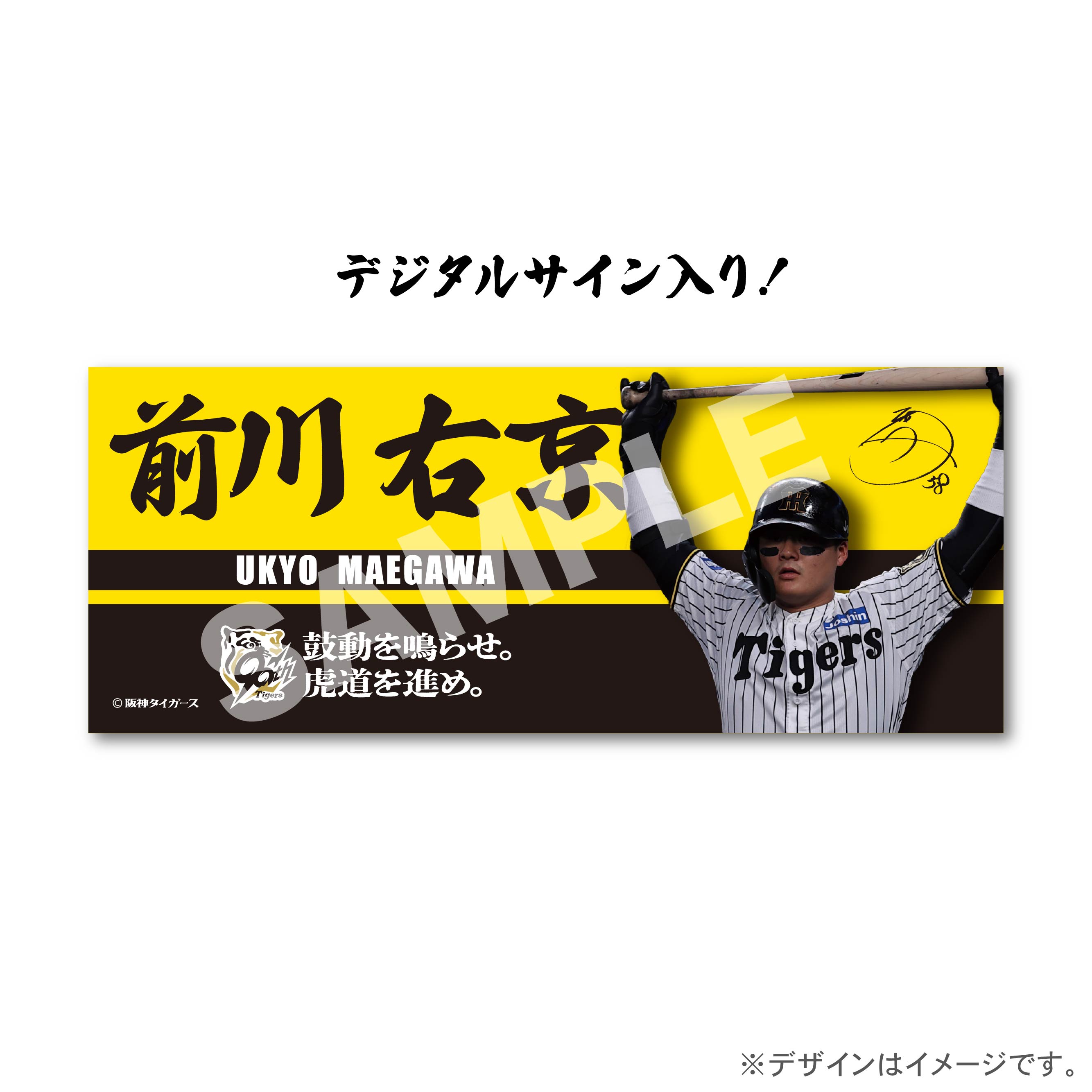 前川　右京の画像