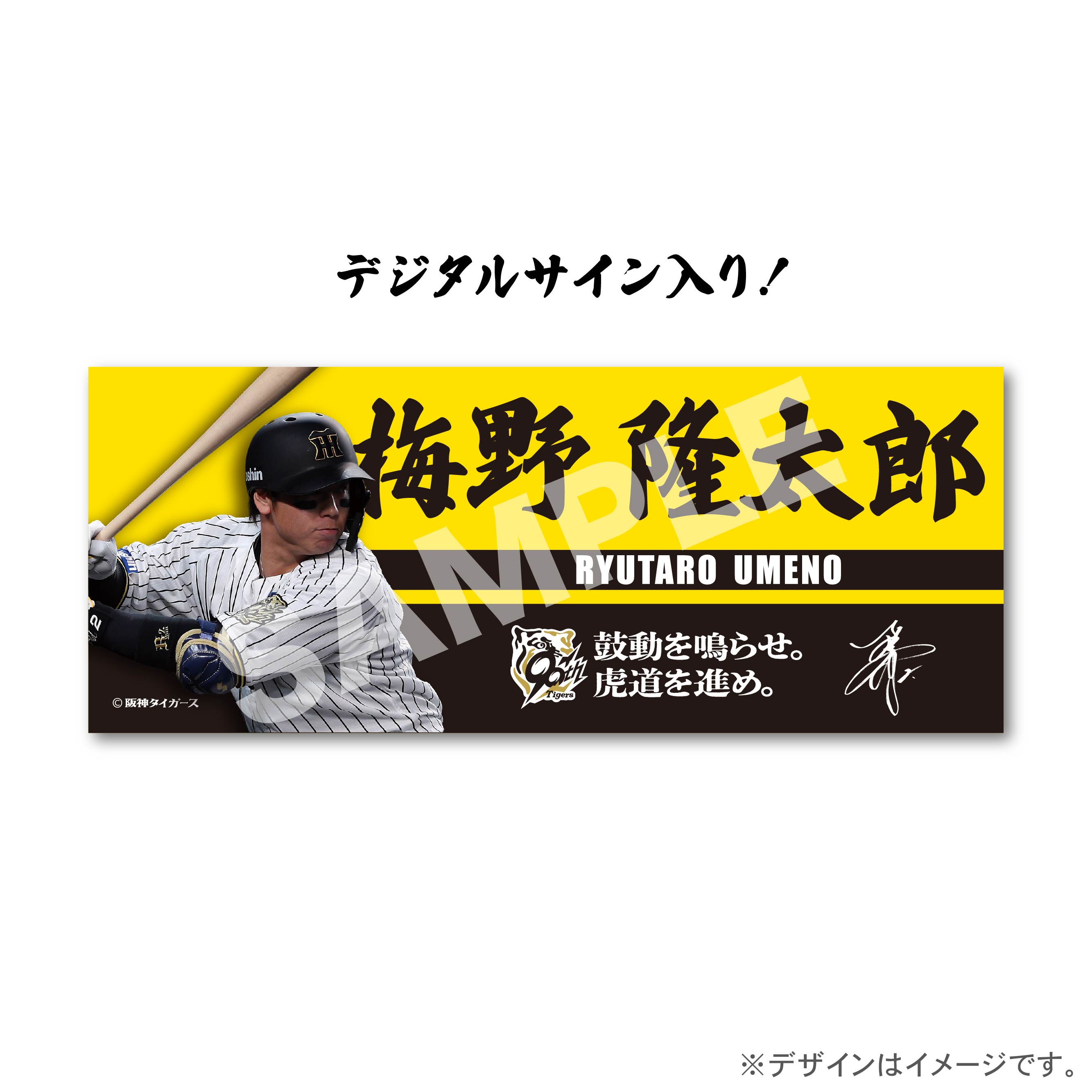 梅野　隆太郎の画像