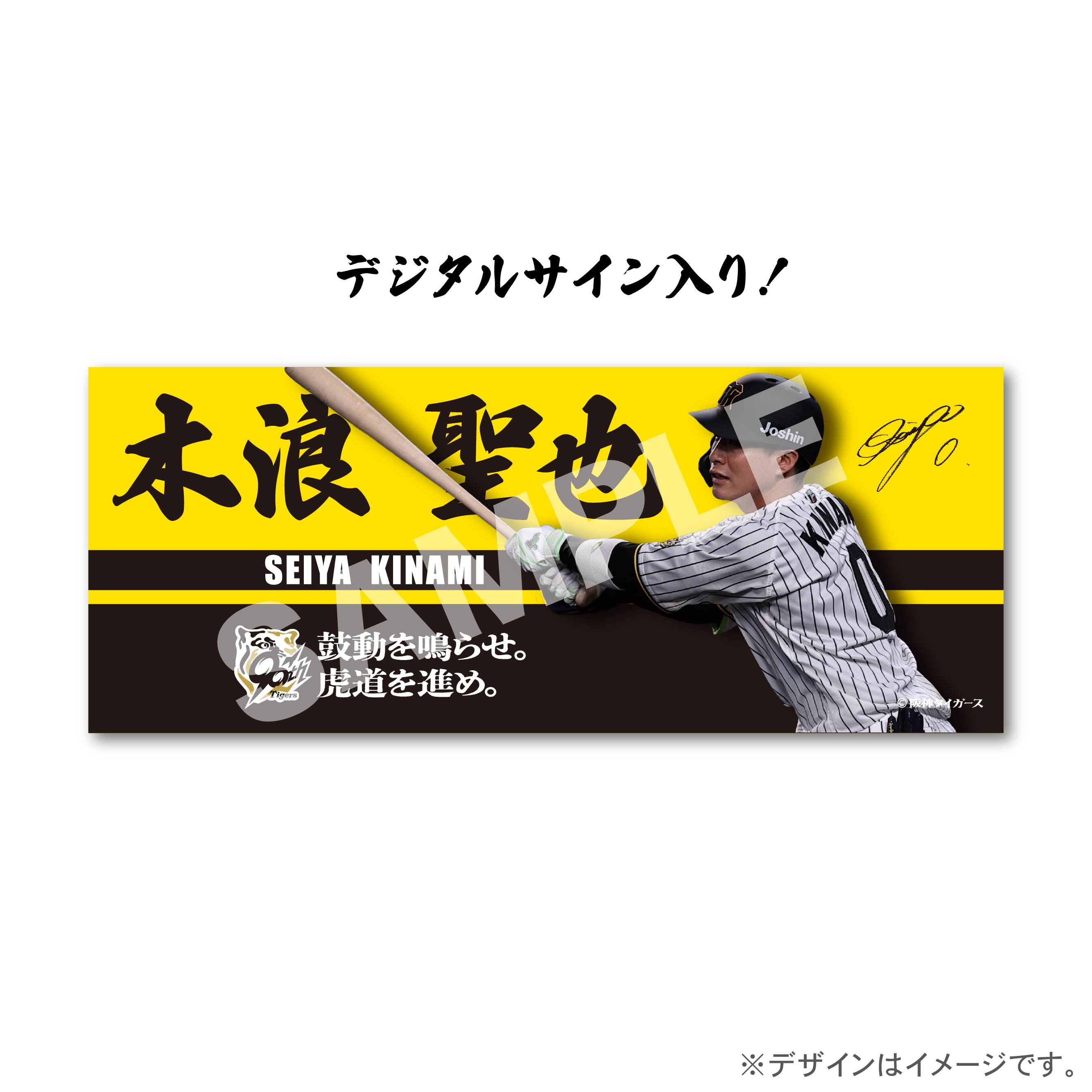 木浪　聖也の画像