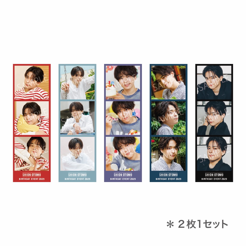 フォトグレイの画像