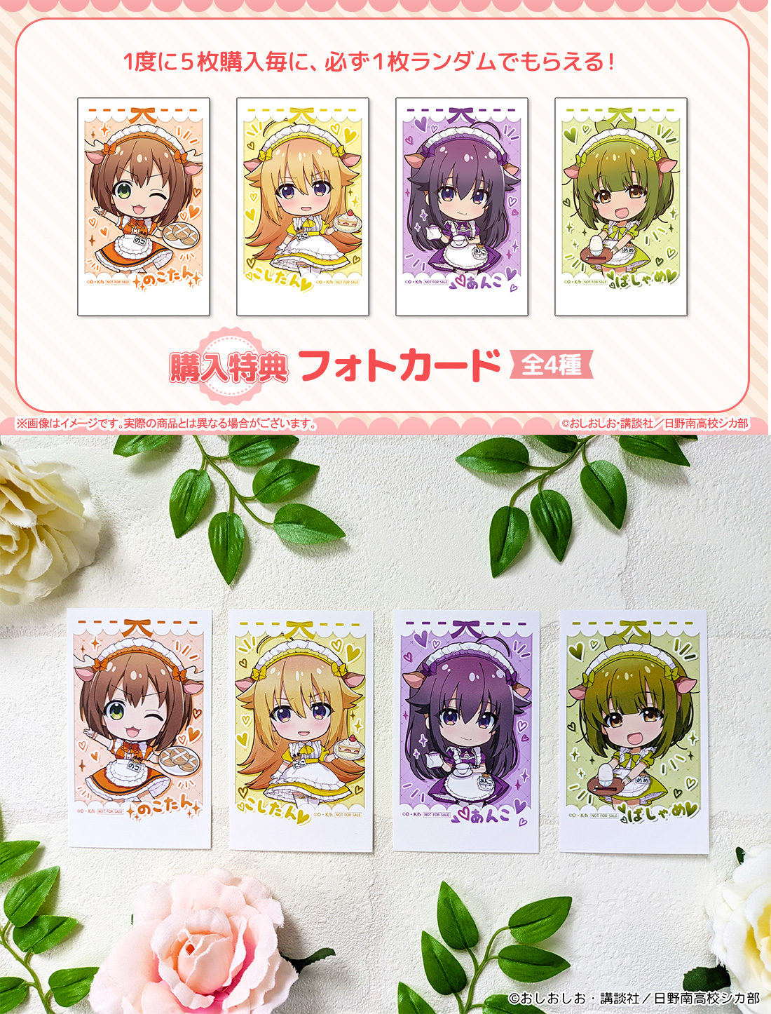 特典フォトカードの画像