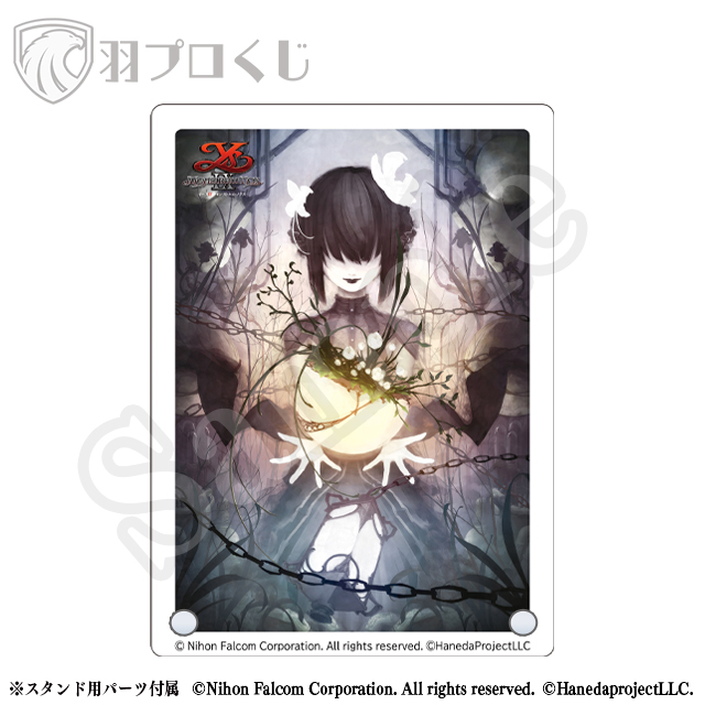 イメージビジュアルの画像