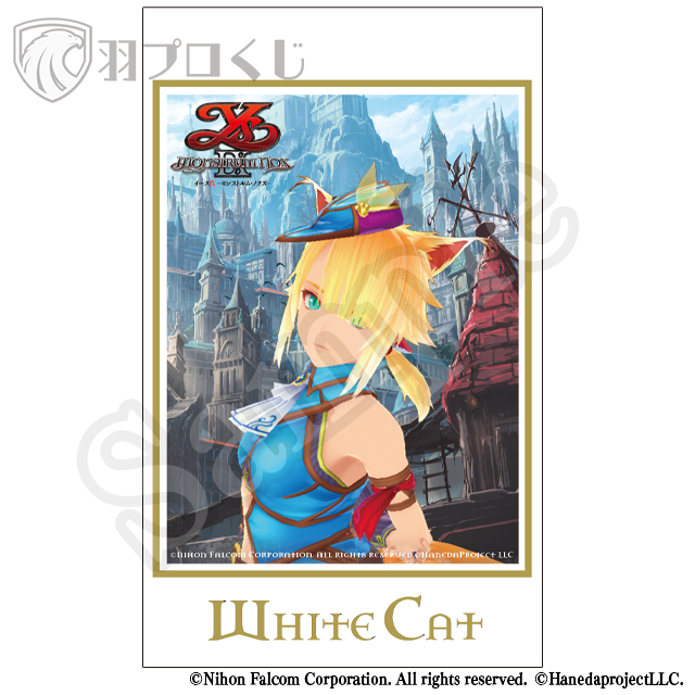 白猫-エタニアン・ブルーの画像