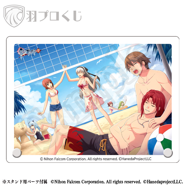 夏のビーチの画像