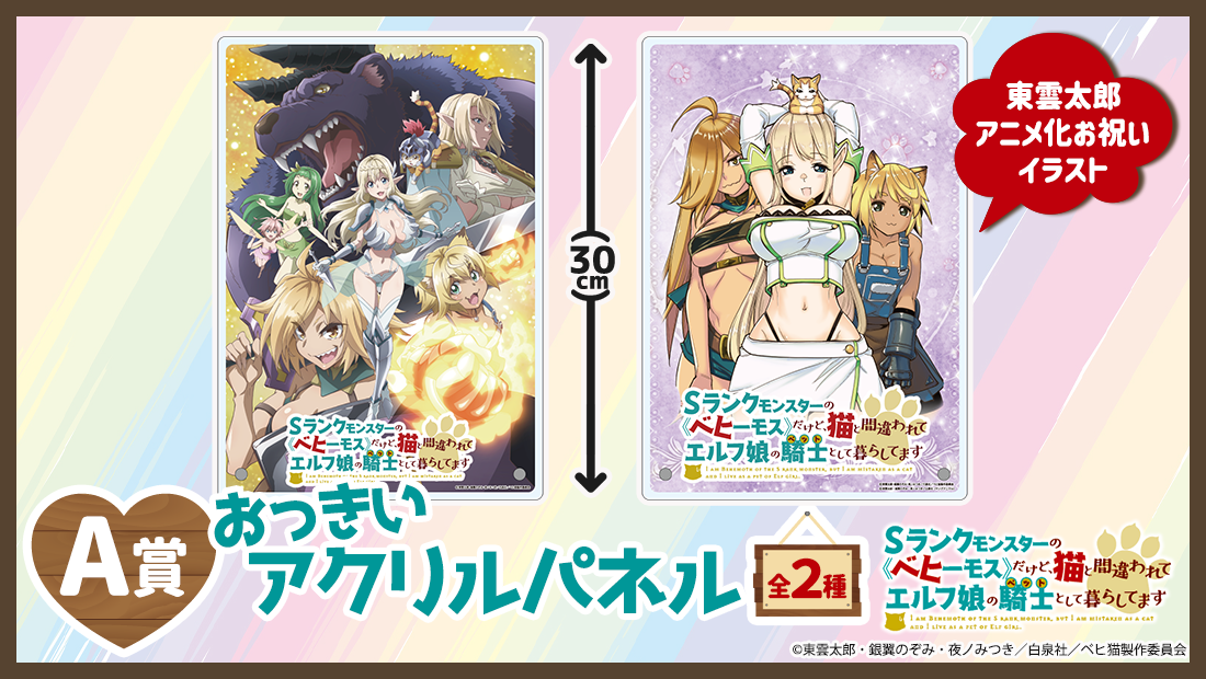 おっきいアクリルパネルの画像