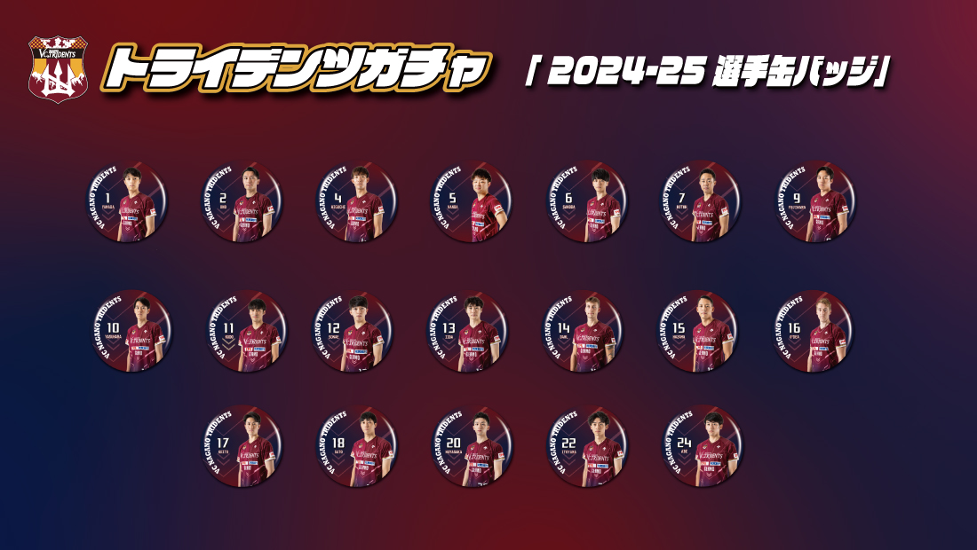 【VC長野トライデンツ】選手缶バッジ2024-25の画像