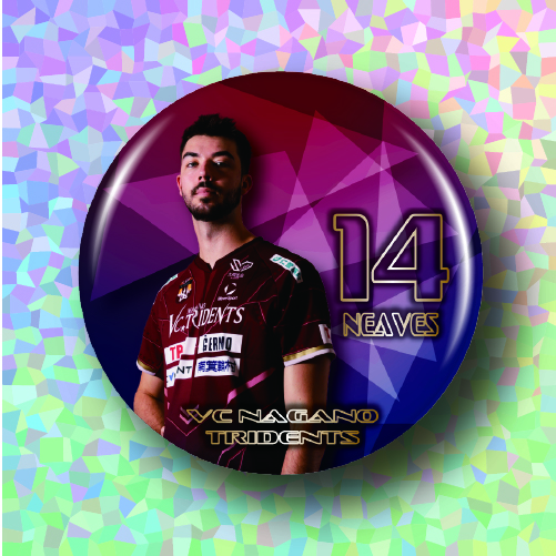 #14 ニーブス_キラの画像