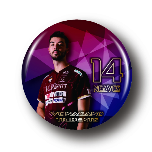 #14 ニーブスの画像