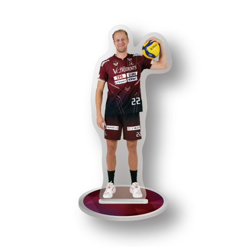 #22 マドセンの画像