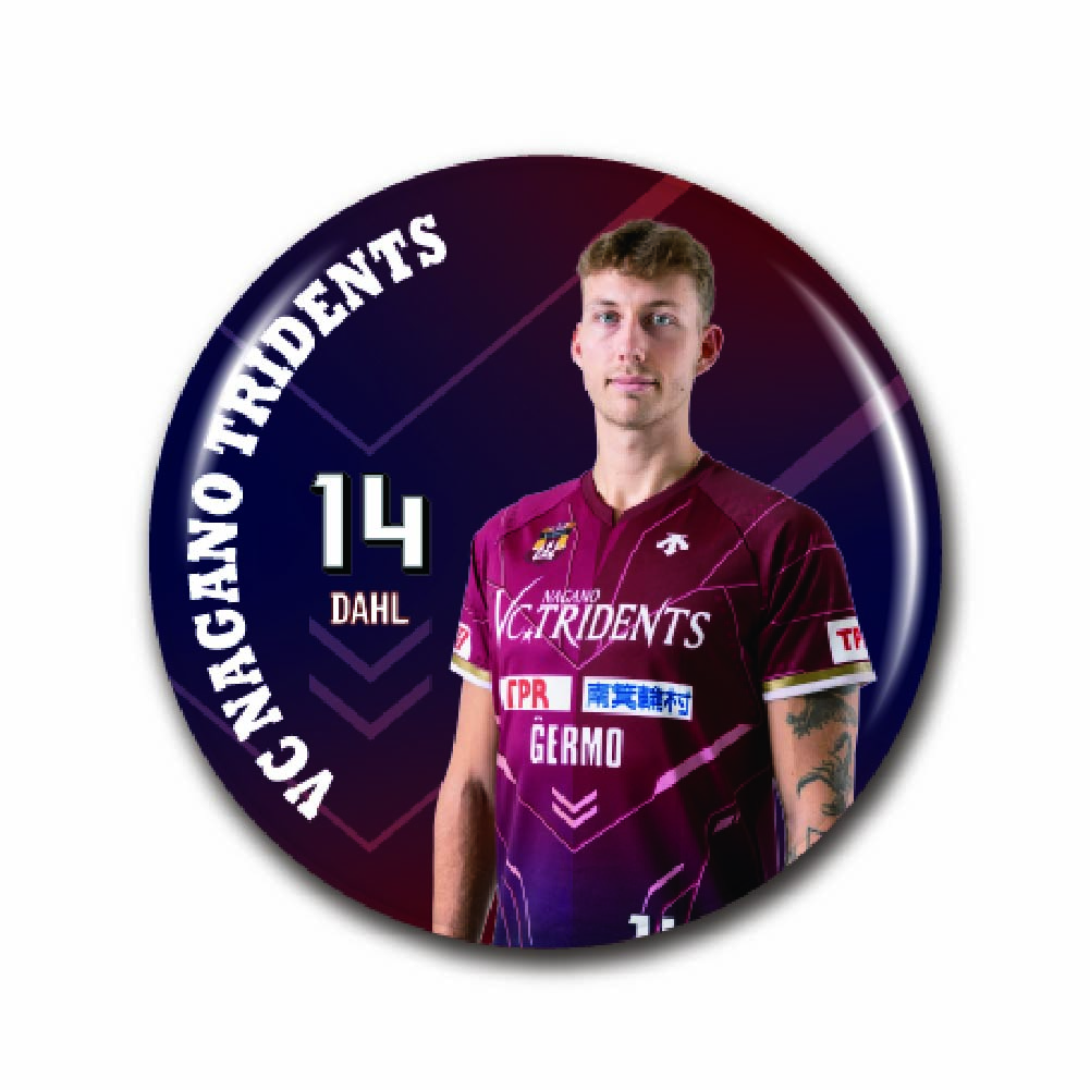 #14ダールの画像