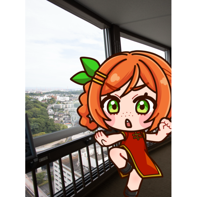 パターン1の画像