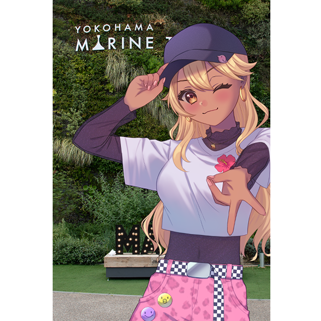 パターン2の画像