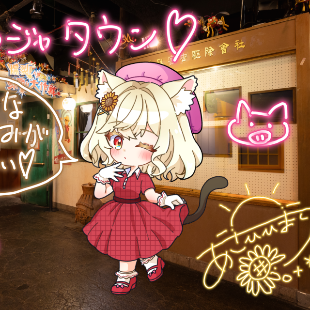 パターン1の画像