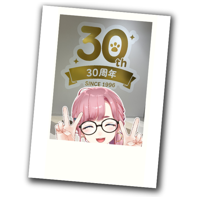 パターン1の画像
