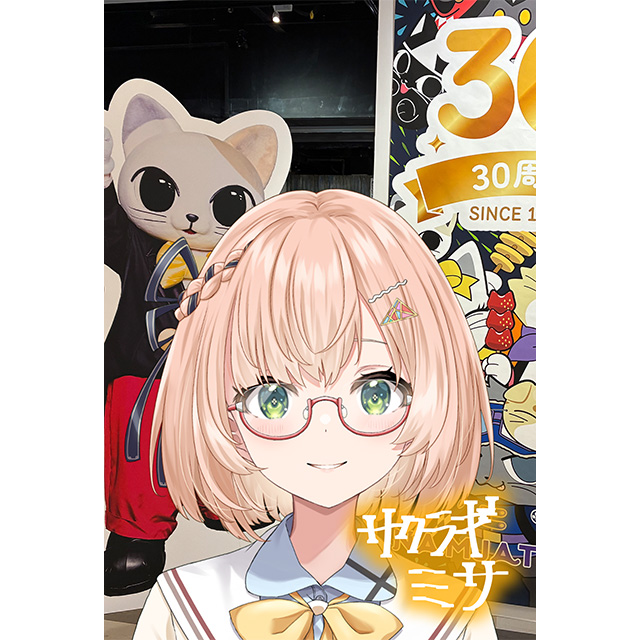 パターン2の画像